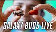 Galaxy Buds Live review: good beans, no compromises