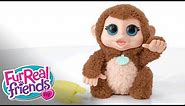 FurReal Friends Robotic Pet - 'Lil' Big Paws Giddy Banana Monkey' Demo - Hasbro