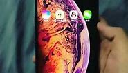 Apple iPhone Xs Touch ID Feature