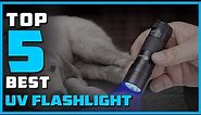 Best UV Flashlight in 2024 - Top 5 UV Flashlights Review