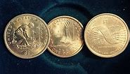 2000, 2009, 2010 Sacagawea Dollar Coins (Original and Commemorative Coins)