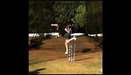 Trent Boult Bowling Action Trent Boult Right Hand Bowling Action