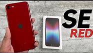 Red iPhone SE (2022) Unboxing + First Impressions!