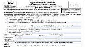 Form W-7 Walkthrough (Application for IRS Individual Taxpayer Identification Number)