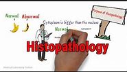 Histopathology || Tissue Processing || Tissue processing in histopathology laboratory
