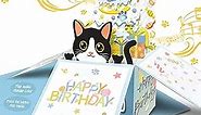 DTESL 3D Pop Up Funny Birthday Cards, 3D Tuxedo Cat Birthday Card for women, Cat Mom or Dad Greeting Cards for Every Cat Lover, Press the power button to play: plays hit song 'Happy Birthday'