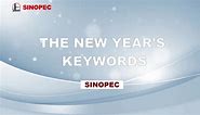 Sinopec - Bidding farewell to extraordinary year of 2023,...
