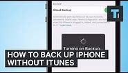 How To Back Up iPhone Without iTunes