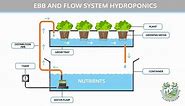 Here Are Ebb And Flow System Pros And Cons (And Why You Should Consider This System) | Plants Heaven