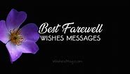 160  Farewell Wishes, Messages & Quotes For Everyone | WishesMsg
