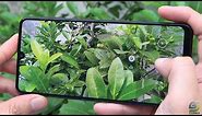 Samsung Galaxy A22 Camera test full Features