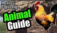Animals Basics and Tips in Medieval Dynasty