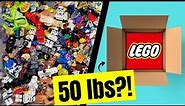 I Bought a 50 lb Lego Mystery Box with Hundreds of Minifigures!