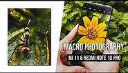 Professional Macro Photography with the Xiaomi Mi 11 & Redmi Note 10 Pro!