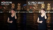 Sharp Aquos R6 vs iPhone 12 Pro Max NIGHT MODE Camera Test