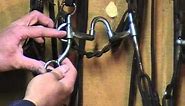 Quick Tip: Which Bits to use on young horses