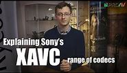 Explaining Sony's XAVC Codec's - XAVC-I, XAVC-L and XAVC-S