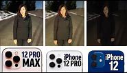 iPhone 12 Pro Max vs 12 Pro vs 12 - Honest Camera Comparison!