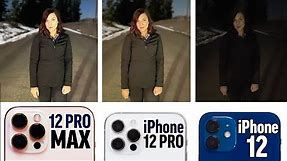 iPhone 12 Pro Max vs 12 Pro vs 12 - Honest Camera Comparison!