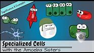 Specialized Cells: Significance and Examples