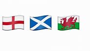 Why is there no Northern Irish flag in the new Emoji update? | Newstalk