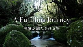 【屋久島 | Yakushima】世界自然遺産登録30周年記念映像 | World Natural Heritage Site - 30th Year Anniversary Video