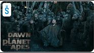 Dawn of the Planet of the Apes (2014) | Scene: Malcolm enter the apes' territory