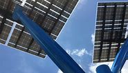 FPL introduces solar trees to South Florida