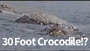 30 Foot Crocodile Seen in Philippines