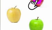 🍎 Popular Types of Apples | Types Of Apples | Some Popular Varieties of Apples #apples 🍎