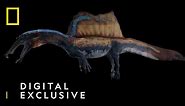 First Aquatic Dinosaur | 3D Spinosauraus Model | National Geographic UK