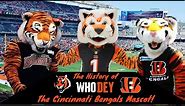 The History Of Who Dey, the Cincinnati Bengals Mascot