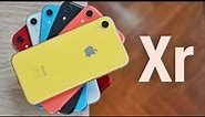 J'ai tous les iPhone Xr (chaque couleur) !
