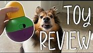 Testing TOP Rated Dog Puzzle Toy | 3 Dogs Review Bob-A-Lot Interactive Toy