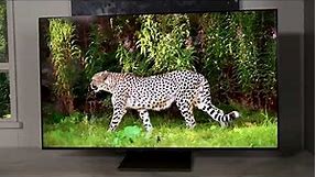 Product Review: TCL 55 Inch C745 4K UHD Premium QLED Smart Google TV 55C745