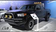 2016 Toyota Tacoma "Back to the Future"