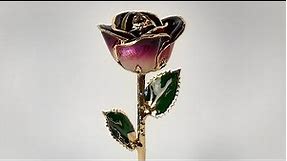 Infinity Rose – Magenta Two-Tone Rose Dipped in Real Gold