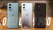 OnePlus 9 Pro Morning Mist vs Pine Green vs Stellar Black Colour Comparison