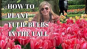 Growing Tulips in the Fall - How to Plant Tulip Bulbs | Kelly Lehman