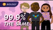 Why do we have different skin colors? (Population Genetics): Crash Course Biology #14