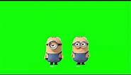 GREENSCREEN ALL ANIMATION MINION ACTION HD