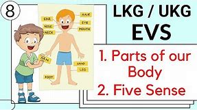 Part 8- LKG / UKG EVS Course | parts of the body name & our 5 sense organs | lkg evs online classes