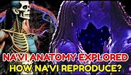 Na'vi Anatomy Explored - Their Unique Way Of Reproduction? Why The Skin Is Blue? Avatar Creatures!