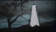 Flying Ghost - Spirit Halloween