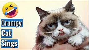 GRUMPY CAT HAPPY BIRTHDAY SONG IS BACK (TOO FUNNY)