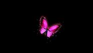 Pink butterfly flying black screen | black screen butterfly | butterfly black screen effect
