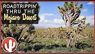 Discovering Hidden Gems in the MOJAVE DESERT | Desert Dreaming - A Road Trip Adventure