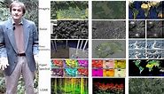 An overview of forest remote sensing technologies