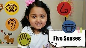 Five Senses | STEM Education for Kids