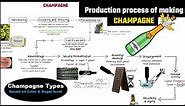 Champagne making process // champagne vs sparkling wine // How to make sparkling wine //